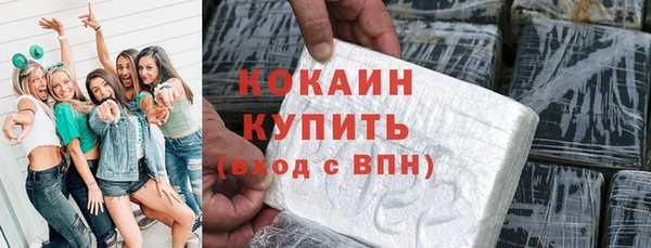 мет Алексин