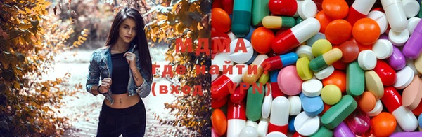 мет Алексин