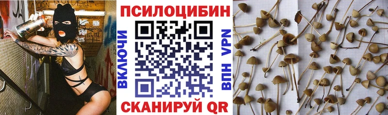 Галлюциногенные грибы GOLDEN TEACHER Подольск