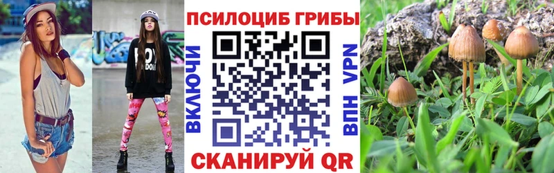 ссылка на мегу маркетплейс  Подольск  Псилоцибиновые грибы ЛСД 